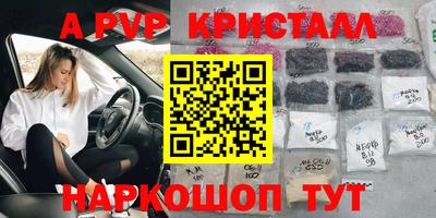 гашик Анжеро-Судженск