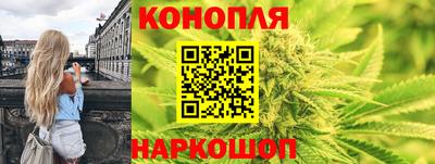 гашик Анжеро-Судженск