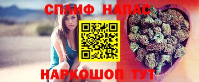 гашик Анжеро-Судженск