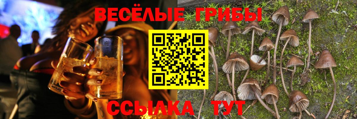 Псилоцибиновые грибы Psilocybine cubensis  Псилоцибиновые грибы мицелий  Избербаш  Вход с VPN 